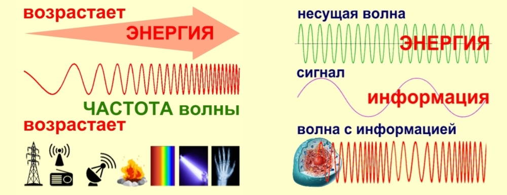 Фото биополя человека